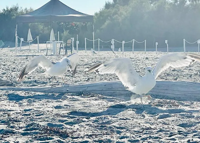 Sunset 斯嘉德瓦利